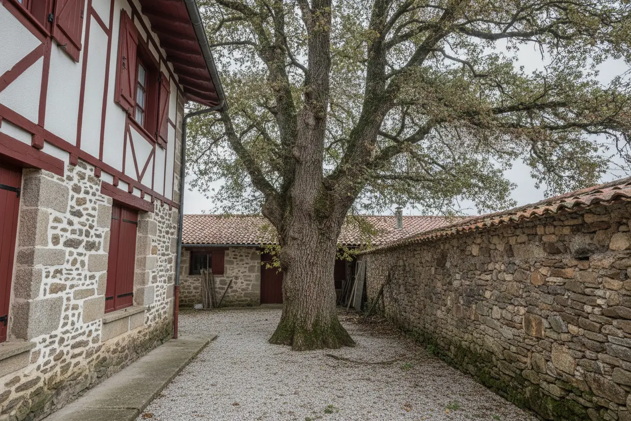 Chêne en accès contraint dans une cour avant abattage près de Bayonne