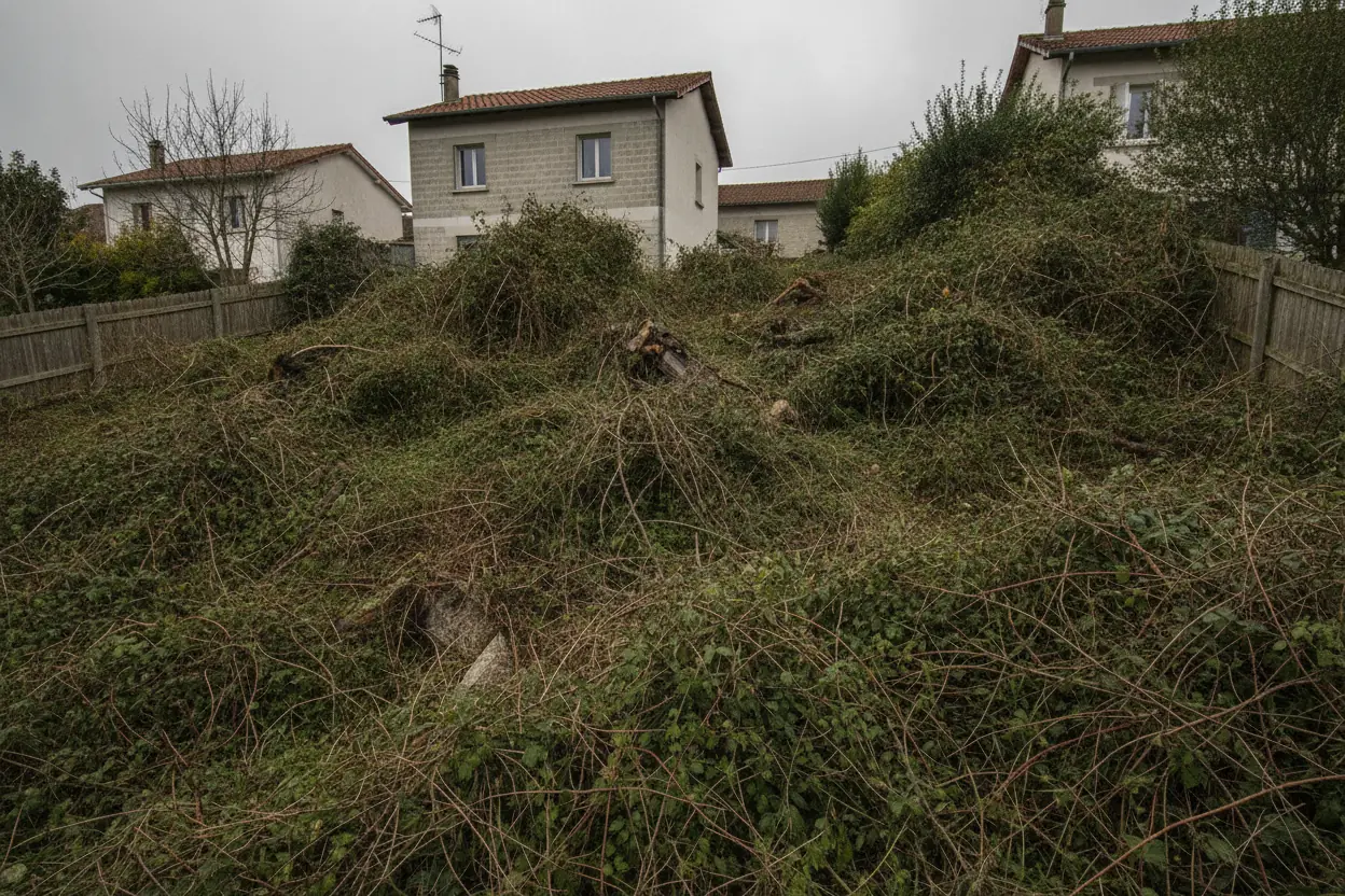 Terrain en pente envahi de ronces avant débroussaillage à Bayonne